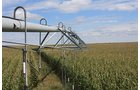 Property photo 118 - LAND AUCTION, 3255+/- Acres offered in 13 Tracts